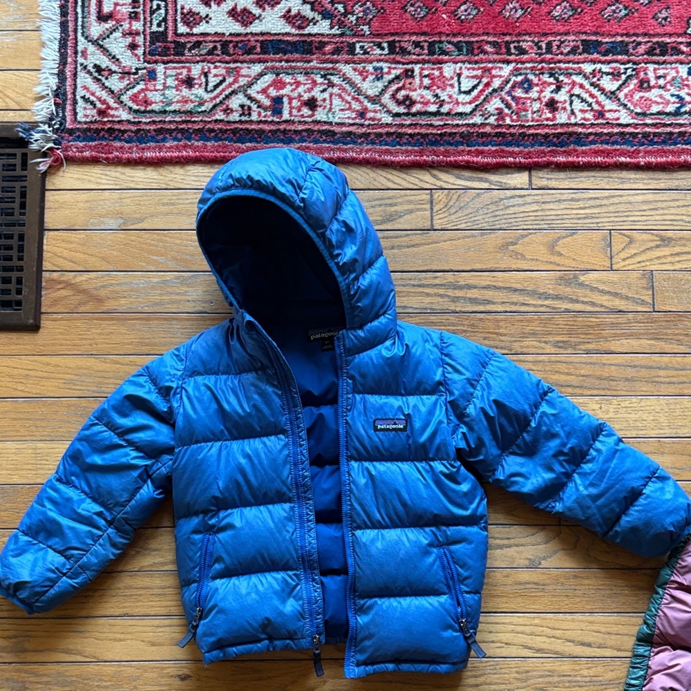 Blue Hooded hi loft Patagonia down coat 5t
